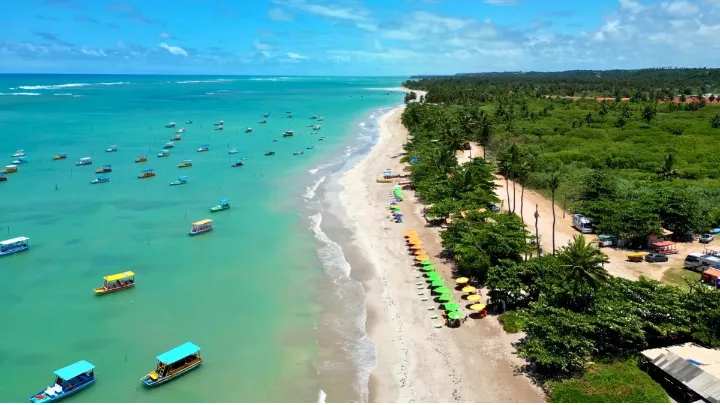 Praia deserta em S&atilde;o Miguel dos Milagres com coqueiros e mar cristalino ao fundo