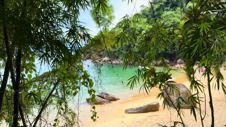 Vista panor&acirc;mica de uma praia paradis&iacute;aca em Ubatuba, destacando o mar e a vegeta&ccedil;&atilde;o.