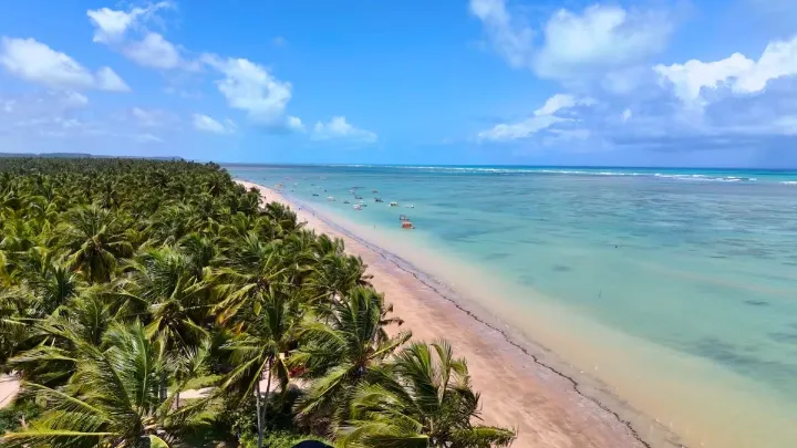 Vista a&eacute;rea da praia do patacho com mar cristalino e coqueiros