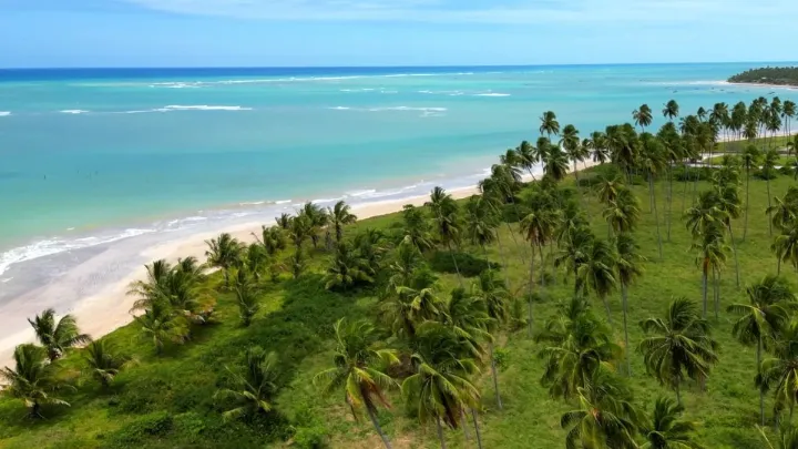 Vista da praia de S&atilde;o Miguel dos Milagres com &aacute;guas calmas