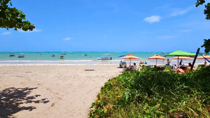Paisagem costeira de S&atilde;o Miguel dos Milagres com praia e coqueiros