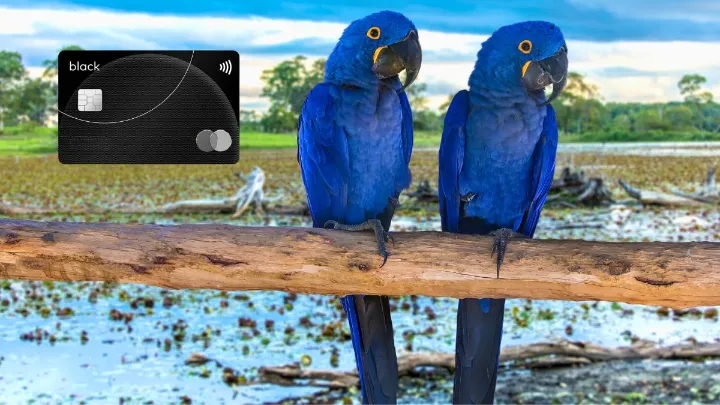 Seguro viagem Mastercard Black para viagens nacionais: vale usar?